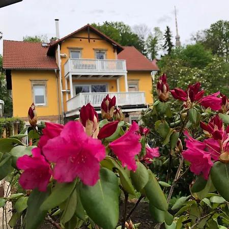Ferienwohnung Casa Casimir Mit Elbblick, Balkon Und Grossen Garten Dresden Buitenkant foto